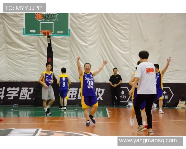 上海篮球队团队协作的创新变革与未来发展探讨